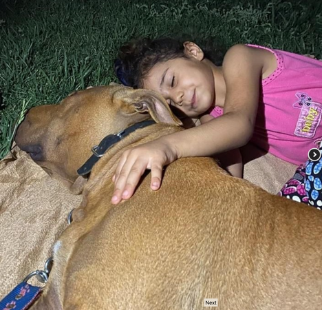 Minik Asiye o köpeklerle böyle oynamış... Gaziantep’teki Pitbull saldırısında yeni görüntüler ortaya çıktı 2