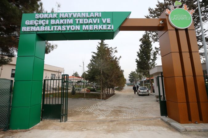 Foto Haber: Büyükşehir'den Dev Hayvan Barınağı...Gaziantep'e 5 bin hayvan kapasiteli modern barınak 4
