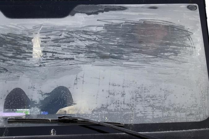 Foto Haber:Termometreler eksi 33 dereceyi gördü! Ağrı, Erzurum, Kars, Ardahan ve Iğdır'da dondurucu soğuklar etkili oluyor 12