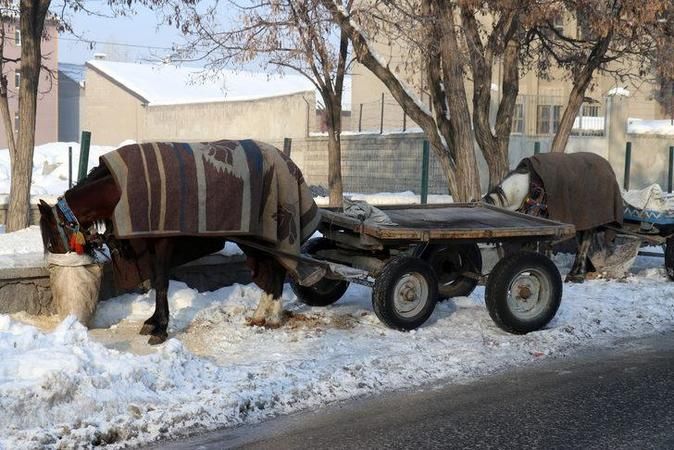 Foto Haber:Termometreler eksi 33 dereceyi gördü! Ağrı, Erzurum, Kars, Ardahan ve Iğdır'da dondurucu soğuklar etkili oluyor 5