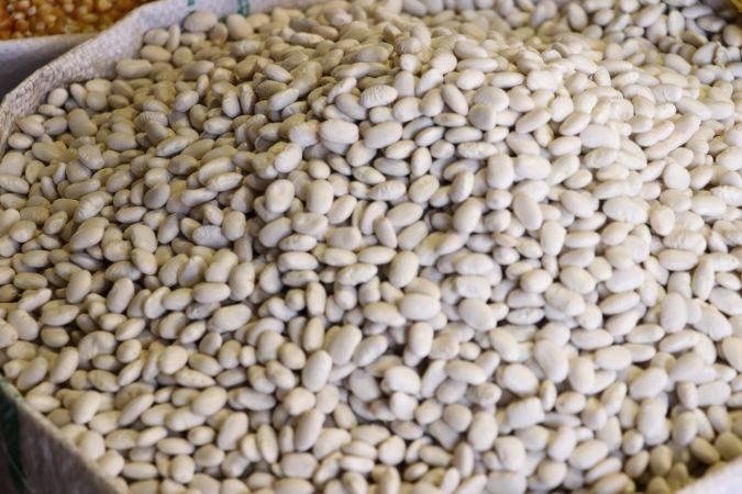 Foto Haber: Hububat, bakliyat ve yağlı tohum ihracatında hedef 11 milyar dolar 3