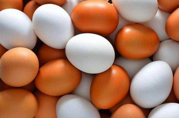 Gaziantepliler Zam Haberine Alışmıştı! Bu İndirim Haberi Şok Edecek! Yumurta Fiyatlarına Gelen İndirim Sabah Akşam Yumurta Yedirtecek! İşte Bir Koli Yumurta Fiyatı 3