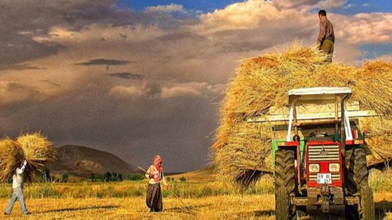 Devletten çiftçilerin yüzünü güldürecek destek! Başvurana anında 5 bin TL hibe desteği! 2