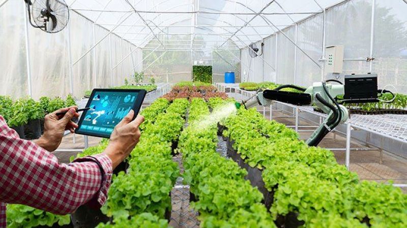 Devletten çiftçilerin yüzünü güldürecek destek! Başvurana anında 5 bin TL hibe desteği! 4