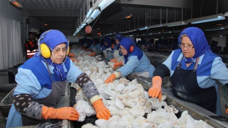 Avrupa ile anlaşmalı hibe desteği projesi! Başvuran anında 40 bin TL hibe desteğinden yararlanacak 4