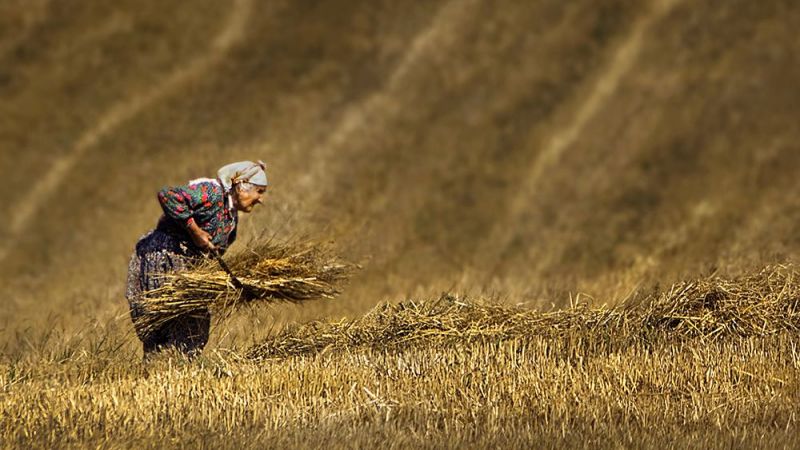 Çiftçilere Müjdeli Son Dakika Haberi Geldi: Tarla İpotekli Kredi Verilecek! Nakde Sıkışan Çiftçiye İlaç Gibi Çözüm! 4