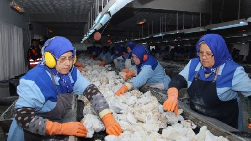 Kadınlarda Emeklilik Yaşı Netleşmeye Başladı: Kadınlar Kaç Yaşında Emekli Olabilecek? İşte Detaylar... 1