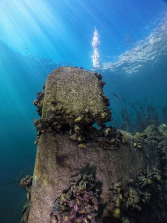 Gaziantep ve RUMKALE...Su altındaki şehir Halfeti "Mezopotamya" markasıyla İtalya'da tanıtılıyor... 2