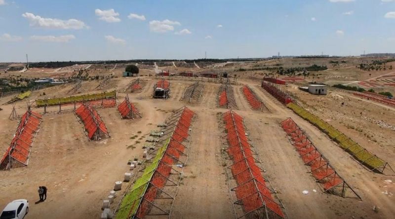 Gaziantep'te kış sofralarının vazgeçilmez lezzeti kurutmalıklar çatı olarak adlandırılan sırıklara gerilmeye başlanarak güneşe bırakıldı. Gaziantep’te sezonun ilk kurutmalıkları güneşe bırakıldı! 2