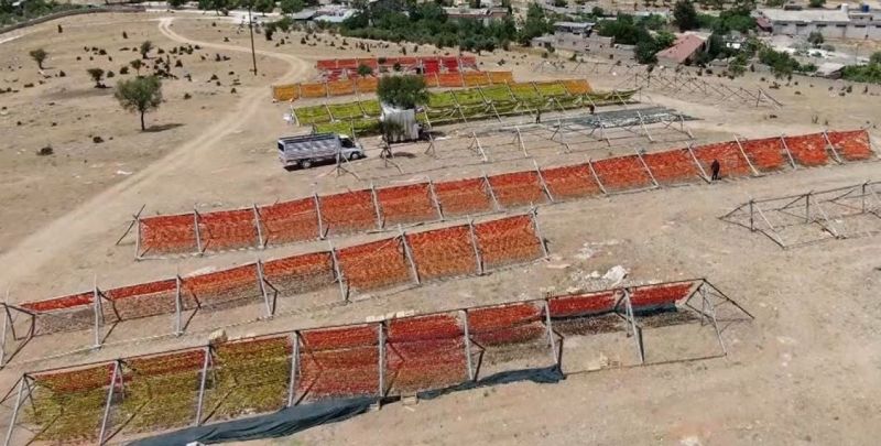 Gaziantep'te kış sofralarının vazgeçilmez lezzeti kurutmalıklar çatı olarak adlandırılan sırıklara gerilmeye başlanarak güneşe bırakıldı. Gaziantep’te sezonun ilk kurutmalıkları güneşe bırakıldı! 6