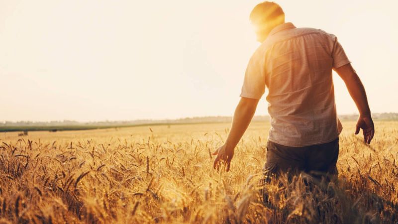 Çiftçiye Müjdeli Haber Tarım Kredi Kooperatifleri'nden Geldi! Kefalet Sistemi Tarih Olacak, Faiz Alınmayacak! 1