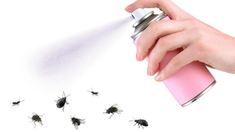 Evde Böcek Görmeye Son! Bu Doğal Karışım Tüm Haşereleri Evinizden Gönderecek! 4