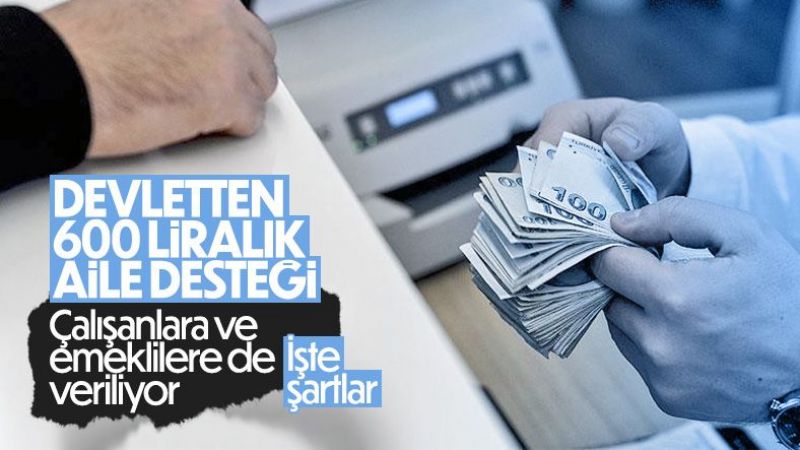 Aile Destek Programı'nda Son Dakika Gelişmesi İlk Ödemeler Hesaplara Geçti! Aile Destek Programı Nedir, Kimler Başvuru Yapabilir? 3