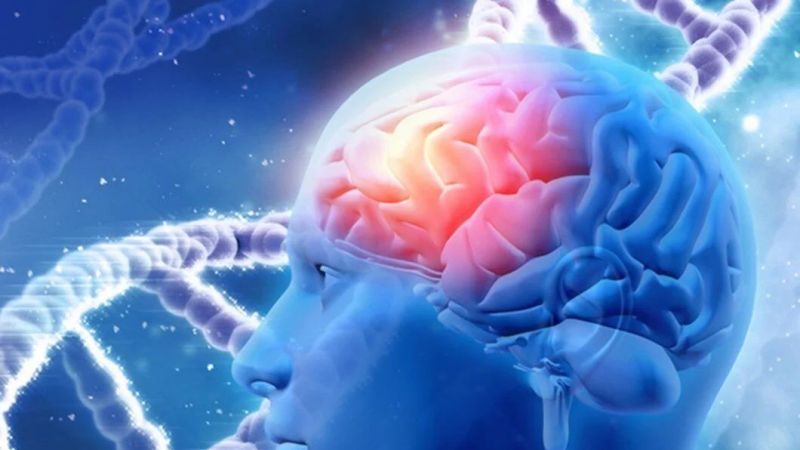 Uzmanlar Alzheimer’a Karşı Önlem Maddelerini Açıkladı! Bu Beslenme Alışkanlıkları Hafızanızı Güçlendirecek! 3