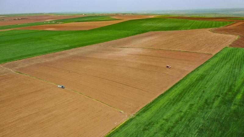 Gaziantep'in Oğuzeli İlçesinde Uygun Fiyatlı Tarla Satışı! 175 Bin TL Yatıran İki Adet Tarlanın Sahibi Olabilecek! Gaziantep İcralık Gayrimenkul İlanları 1