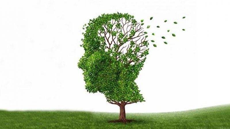 Dikkat Herkesin Mutfağında Olan O Yiyecekler Alzheimer’ı Tetikliyor, Beyni Erken Yaşlandırıyor! 3