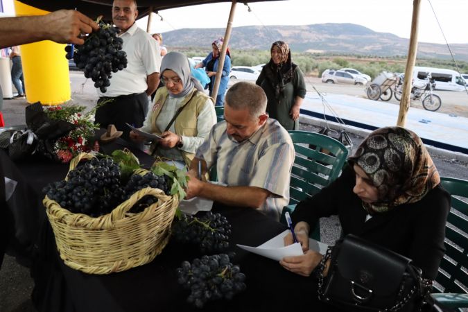 Kilis'te 7. Musabeyli Üzüm Festivali düzenlendi 2