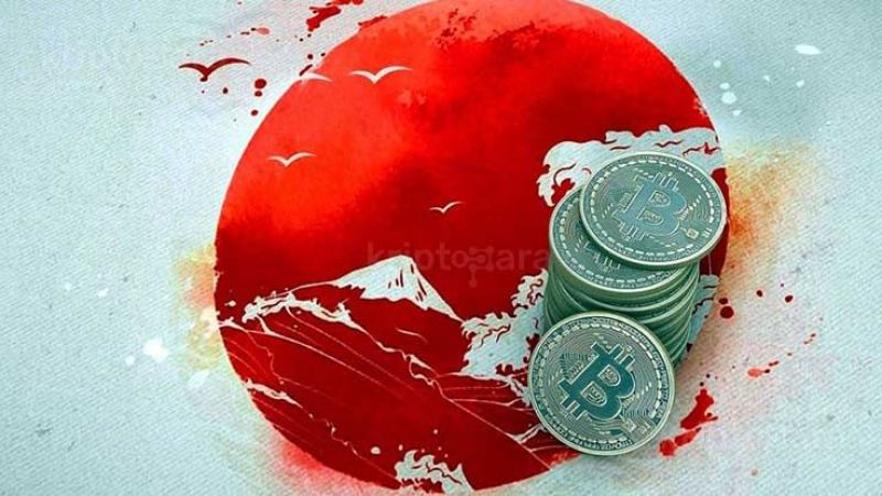 Kripto Para Yatırımcısı Kadın Yanlışlıkla Kripto Milyoneri Oldu! 4