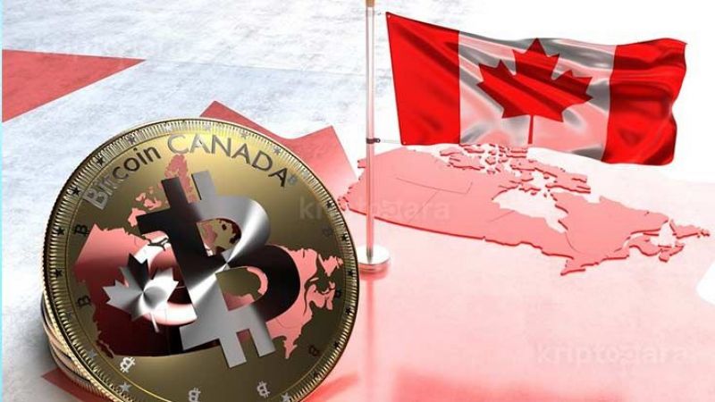 Kripto Para Yatırımcısı Kadın Yanlışlıkla Kripto Milyoneri Oldu! 2