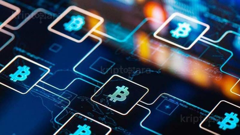 Kripto Para Yatırımcısı Kadın Yanlışlıkla Kripto Milyoneri Oldu! 3