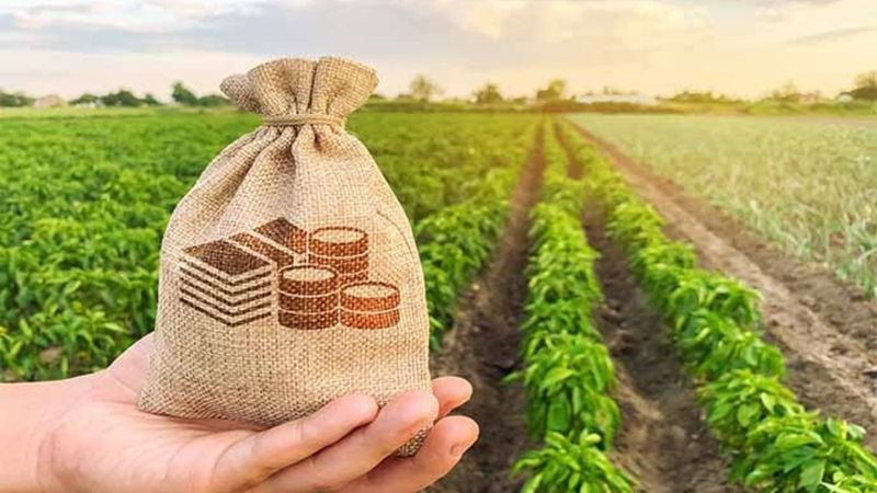 Çiftçiye Mazot ve Gübre Destek Ödemelerinde Tarih Değişti! Ödemelerin Yapılacağı Tarih… 2