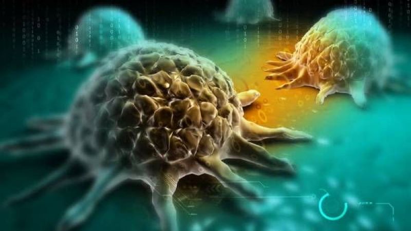 Kanser Tedavisinde Devrim! Uçuk Virüsü Kullanılarak Geliştirilen Yöntem İnsanlarda Olumlu Sonuç Verdi! 3