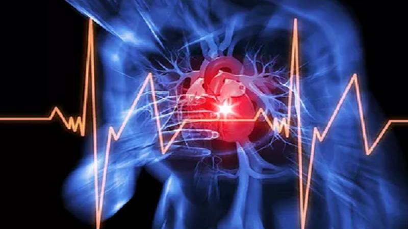 Araştırma Sonuç Verdi: Bu Gıdalar Kalp Krizi Riskini Yüzde 13 Azaltıyor! 3