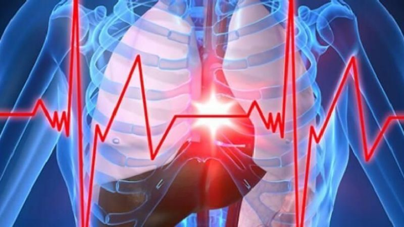Araştırma Sonuç Verdi: Bu Gıdalar Kalp Krizi Riskini Yüzde 13 Azaltıyor! 2