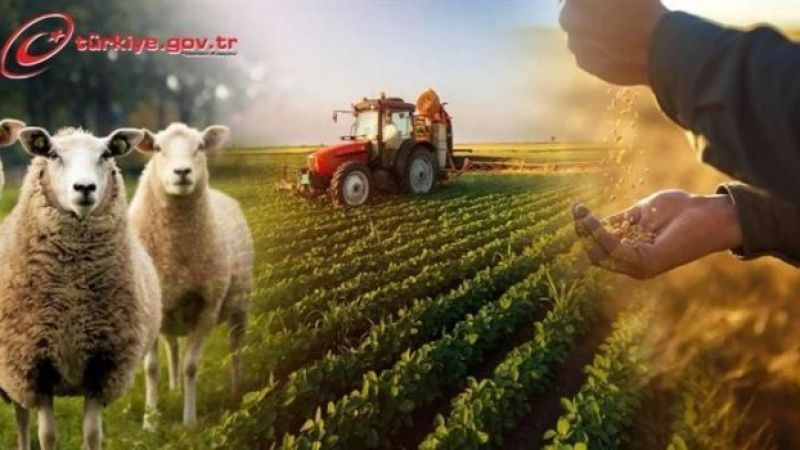 Milyonları İlgilendiren Karar Resmi Gazete’de Yayımlandı! Bu geceden itibaren İtibaren E-Devlet’te Olacak 2