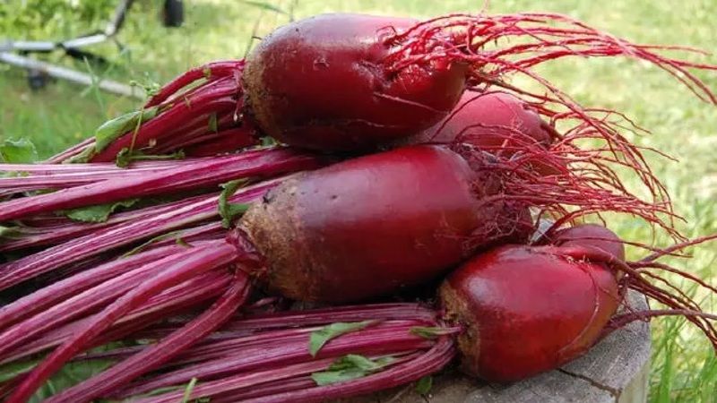 Bu Yiyeceği Dolabınızdan Eksik Etmek İstemeyeceksiniz; Hem Kanseri Durduruyor, Hem De Kanserin Oluşumunu Engelliyor! İşte O Besin… 3