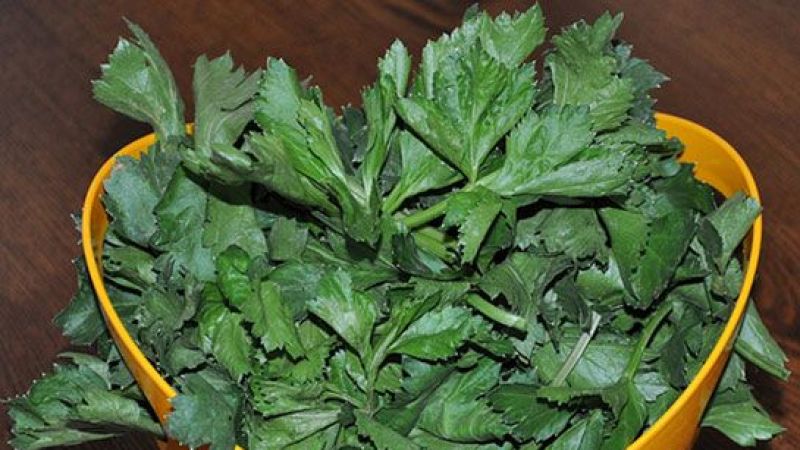 Şeker Hastası Olanları Özellikle İlgilendiriyor! Bu Besini Sofranızdan Asla Ama Asla Eksik Etmeyin! Kan Şekerini Hemen Düşürüyor! 2