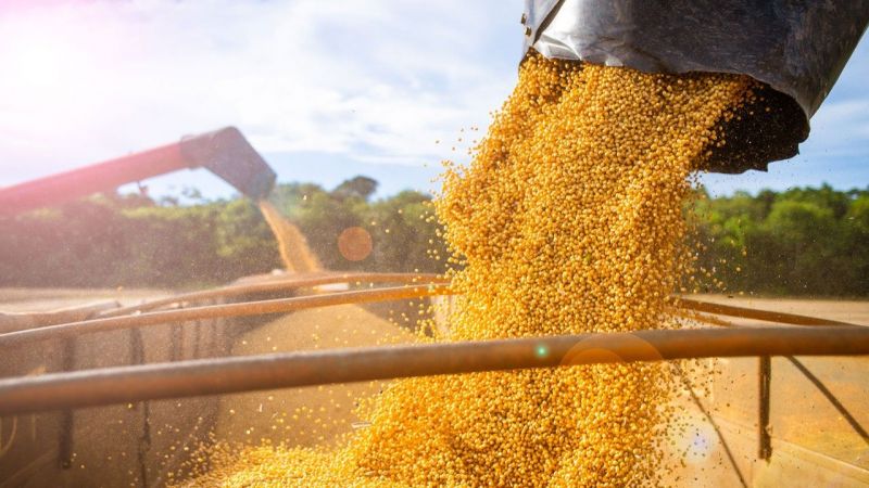 Piyasalarda Bir Hafta Daha Geride Kaldı! Altın, Bakır, Brent Petrol Ve Kakaonun Son Durumu Netleşti! İşte 29 Ekim 2022 Emtia Fiyatları… 4