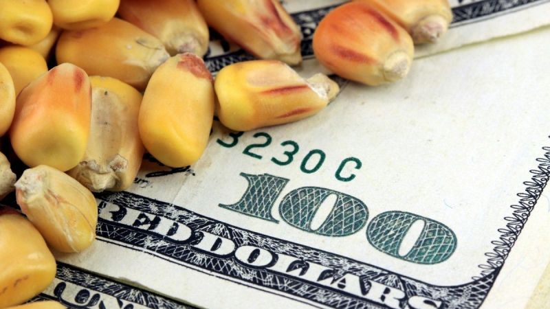 Emtia Yatırımcılarının Yüzü Nihayet Güldü! Kıymetli Metal, Tarım Ve Enerji Emtiaları Şaha Kalktı! İşte 1 Kasım 2022 Salı Günü Emtia Piyasaları… 3