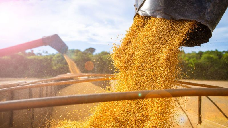 Bu Hafta; Emtia Borsalarının Haftası Oldu! Doğalgaz Dışında Tüm Emtia Ürünleri Değer Kazandı! İşte 5 Kasım 2022 Emtia Piyasalarında Son Durum… 2