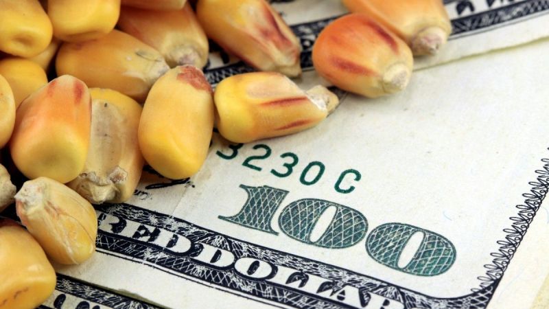 Sanayi Emtiaları Yüz Güldürmeye Devam Ediyor! Kıymetli Metal Ve Enerji Emtialarında Kayıplar Görülmeye Başladı! İşte 7 Kasım 2022 Emtia Piyasaları… 3