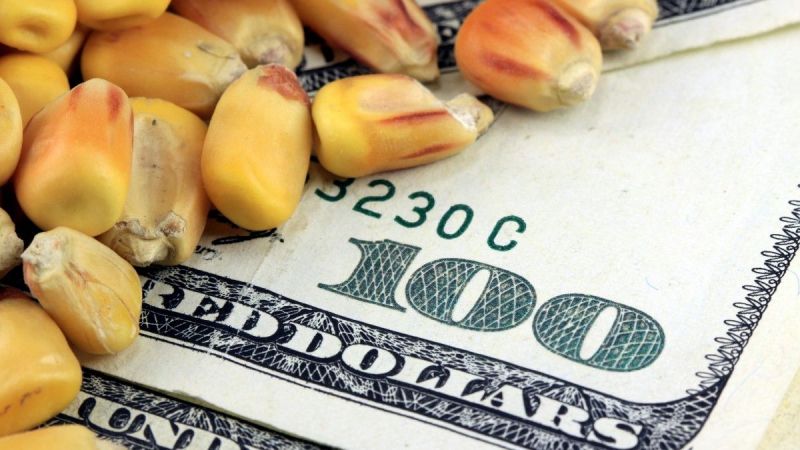 Kıymetli Metaller Resmen Şaha Kalktı! Sanayi ve Tarım Emtialarında Durumlar Karıştı! İşte 10 Kasım 2022 Emtia Fiyatları… 3