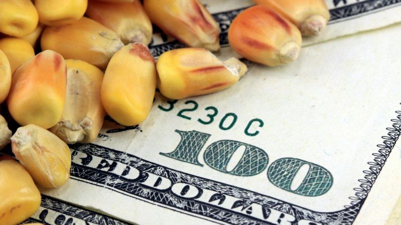 Bu Emtia Borsasına Yatırım Yaptıysanız Korkmayın! Bugün Çok Kazandınız! İşte 14 Kasım 2022 Sanayi, Tarım, Enerji Ve Kıymetli Metal Emtia Fiyatları… 2