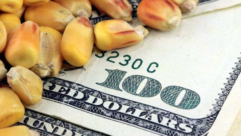 Emtia Piyasalarında Yeni Gün Hareketli Başladı! Hem Kazançlar Hem De Kayıplar Var! İşte 15 Kasım 2022 Emtia Piyasalarında Son Durum… 1