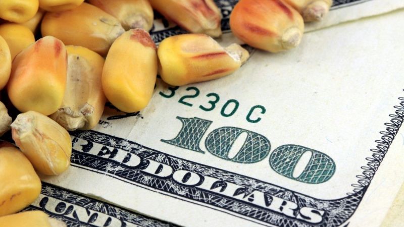 Emtia Piyasalarında İşler Tersine Döndü! Sanayi Emtiaları Dışında Tüm Emtia Piyasalarında Kayıplar Arttı! İşte 17 Kasım 2022 Emtia Fiyatları… 2