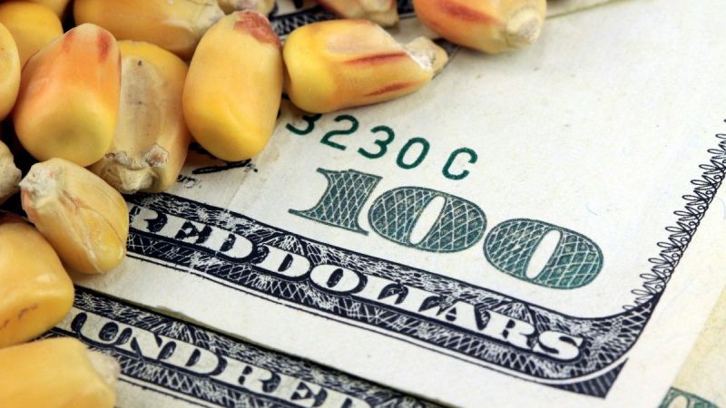 Emtia Piyasalarında Sürpriz Bir Gelişme Oldu! Aşağı Yönlü Hareketlilik Hız Kazandı! İşte 19 Kasım 2022 Emtia Fiyatları… 4