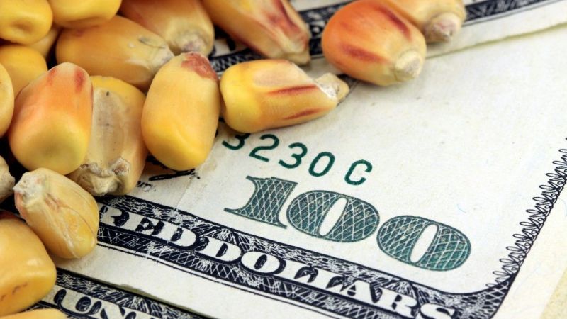 Yatırımcıların Kafası Karıştı! Emtia Borsaları Bir Kazanç Bir Kayıp Getirmeye Başladı! İşte 21 Kasım 2022 Emtia Borsalarında Son Durum 4