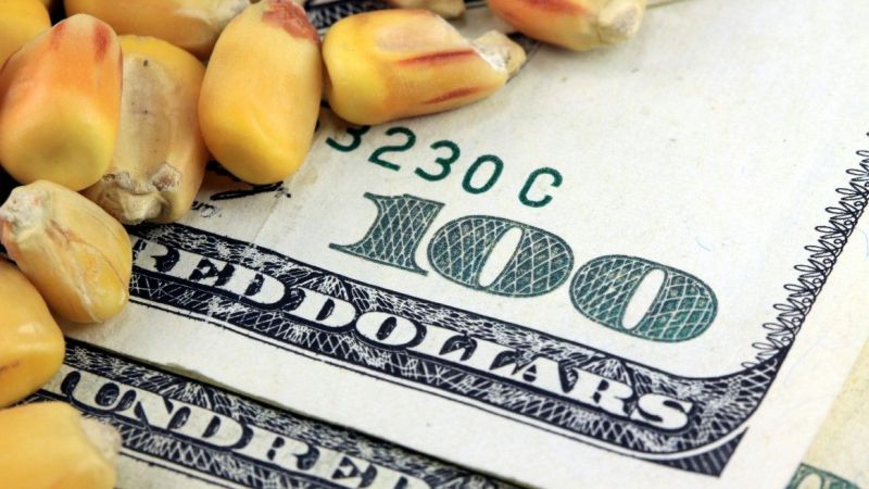 Emtia Piyasalarında İşler Karıştı; Görünüm Bulanıklaştı! Enerjiye Yatırım Yapan Resmen Yandı! İşte 24 Kasım 2022 Emtia Borsalarında Son Durum 2