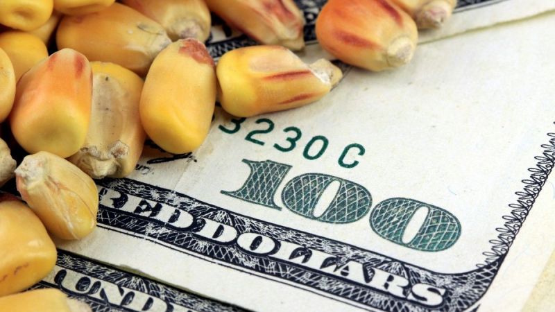 Emtia Borsalarında Yeni Hafta Başladı! Altın, Bakır, Brent Petrol, Pamuk… Hepsinin Değeri Belli Oldu! İşte 28 Kasım 2022 Emtia Fiyatları 4