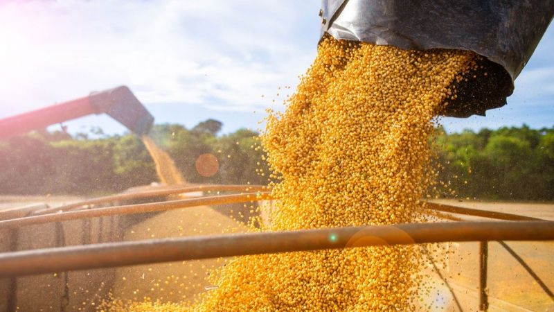 Altın Yanılttı! Tarım, Sanayi ve Enerji Emtia Borsaları Toparladı! İşte 2 Aralık 2022 Emtia Fiyatlarında Son Durum… 3