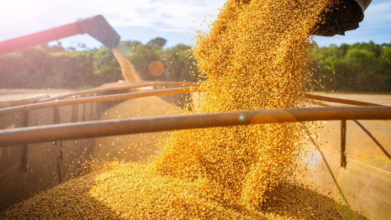 Sanayi Emtiaları Dibi Gördü; Kıymetli Metal, Tarım ve Enerji Emtialarında Toparlanma Başladı! İşte 13 Aralık 2022 Emtia Piyasaları… 3