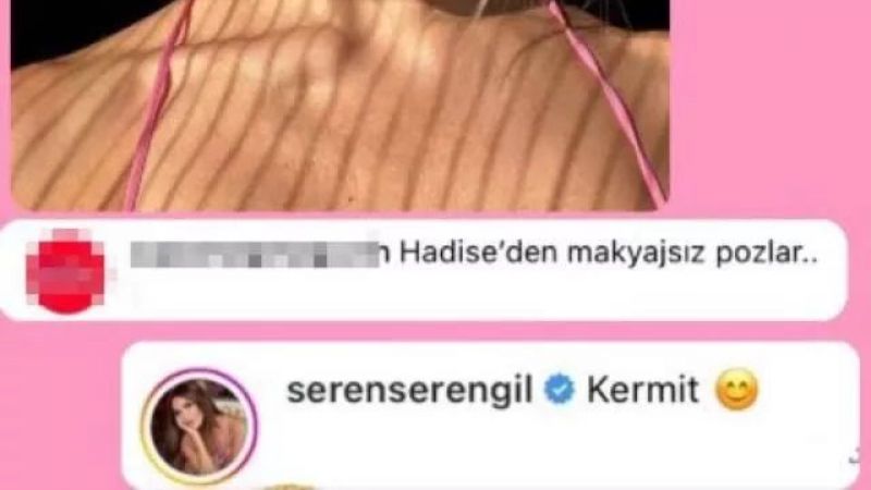 Seren Serengil, Bu Kez De Hadise’nin Makyajsız Haline Kafayı Taktı! Hadise, O Yorumu Görünce Şaştı Kaldı! “Kurbağa Kermit…” 3