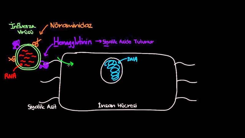 Grip Virüsü Güçlendi, Herkes Yatak Döşek Yatmaya Başladı! Süper Grip, Acil Kapasitesini Yüzde 30 Artırdı! Aman Dikkat! 3