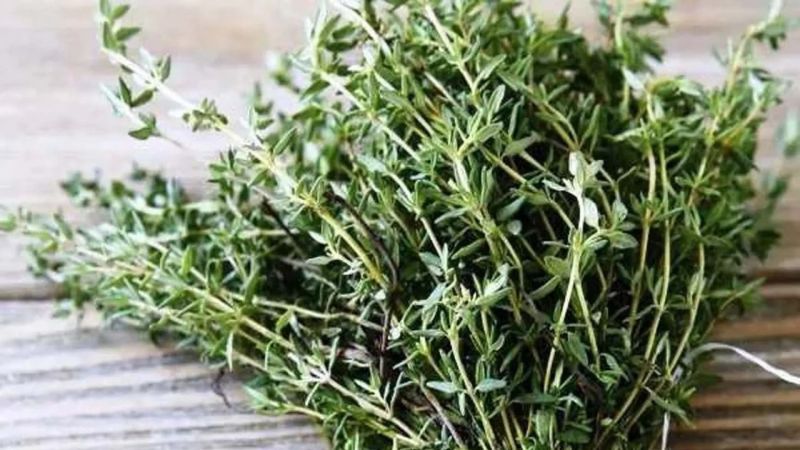 Gaziantep'e Kış geç geldi  vatandaş aktara koştu!  Antep ALMACI Pazarı Esnafı şifalı ve koruyucu bitkilerin Faydalarını Anlattı! 3