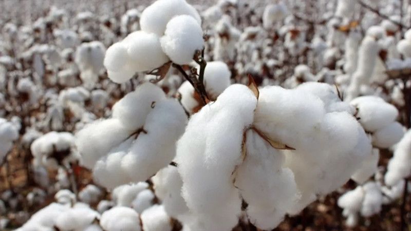 Gaziantepliler dikkat: FED’in kararı, emtia borsalarına yaramadı! Emtia borsaları bir kez daha kıpkırmızı oldu! İşte 4 Şubat 2023 emtia fiyatları 2