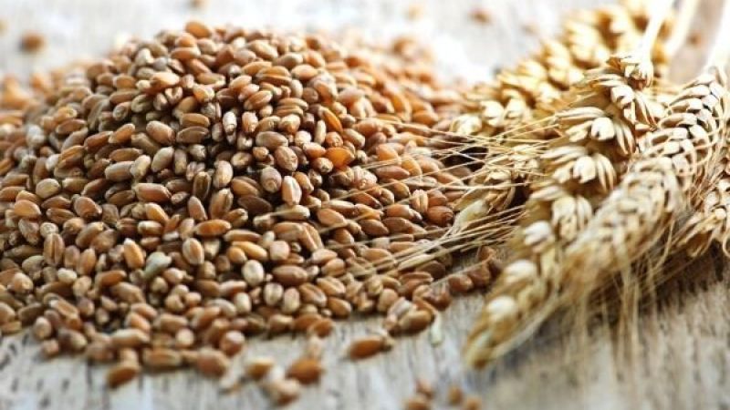 15 Şubat 2023 Gaziantep Hububat Fiyatları Güncellendi! Un, Bulgur, Kepek Fiyatları Tek Tek Açıklandı! 2